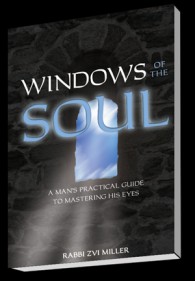 Windows of the Soul book cover
